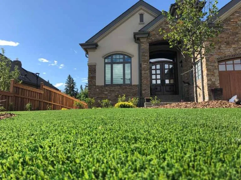 Artificial grass lawn in Omaha, NE from Eagle Eye Turf