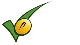 NSBB Badge