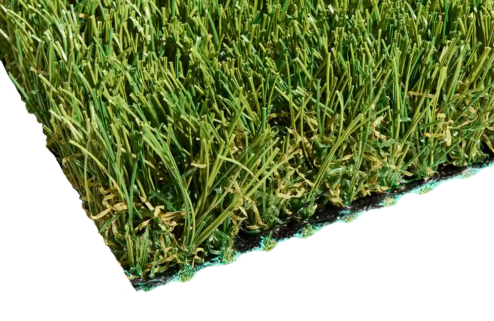 SYNAugustine 847