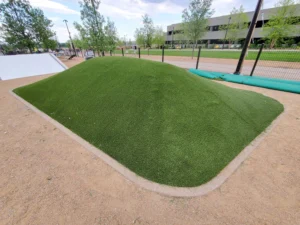 nebraska-artificial-pet-turf-gal-1