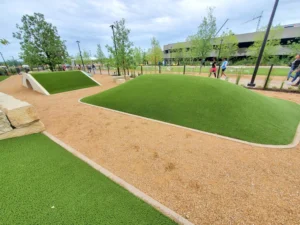 nebraska-artificial-pet-turf-gal-10