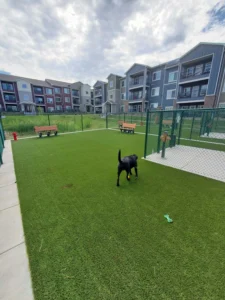 nebraska-artificial-pet-turf-gal-11