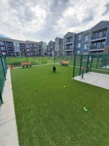 nebraska-artificial-pet-turf-gal-12