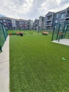 nebraska-artificial-pet-turf-gal-13