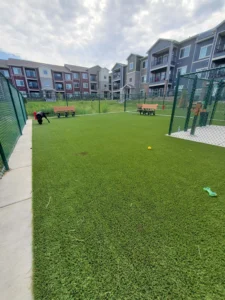 nebraska-artificial-pet-turf-gal-14