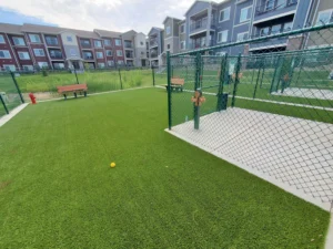 nebraska-artificial-pet-turf-gal-16