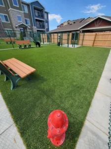 nebraska-artificial-pet-turf-gal-18