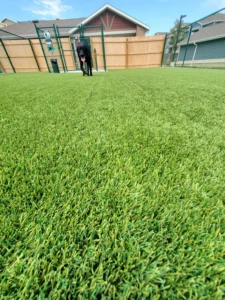 nebraska-artificial-pet-turf-gal-22