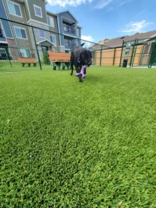 nebraska-artificial-pet-turf-gal-23