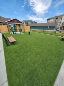 nebraska-artificial-pet-turf-gal-26