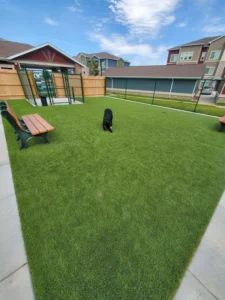 nebraska-artificial-pet-turf-gal-27