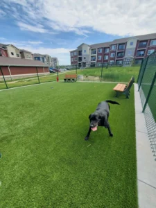 nebraska-artificial-pet-turf-gal-28
