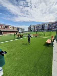 nebraska-artificial-pet-turf-gal-44