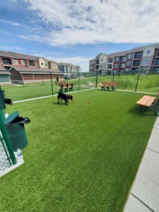 nebraska-artificial-pet-turf-gal-45