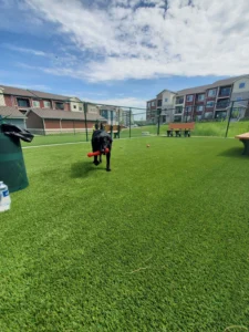 nebraska-artificial-pet-turf-gal-47