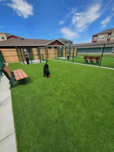 nebraska-artificial-pet-turf-gal-48