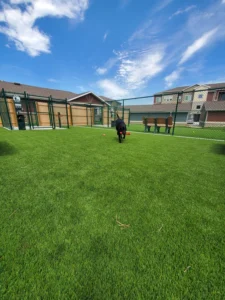 nebraska-artificial-pet-turf-gal-50
