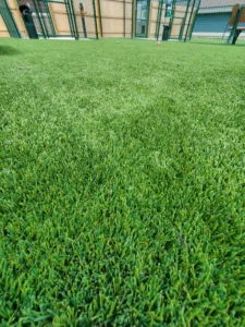 nebraska-artificial-pet-turf-gal-51