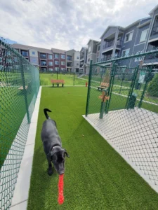 nebraska-artificial-pet-turf-gal-55