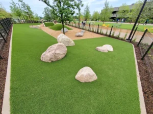 nebraska-artificial-pet-turf-gal-9