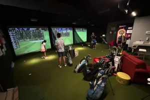 synlawn-golf-simulators-gal-3