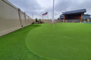 2024-best-residential-golf-design-gal-page-4