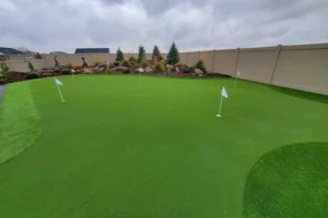 2024-best-residential-golf-design-gal-right-1