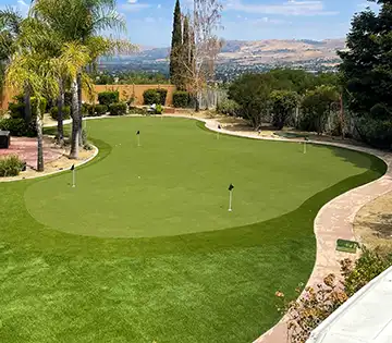 image of a custom backyard putting green