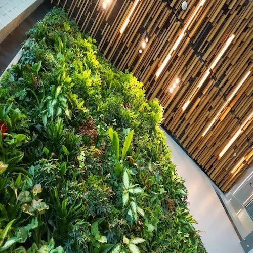 Artificial green wall in Omaha, NE