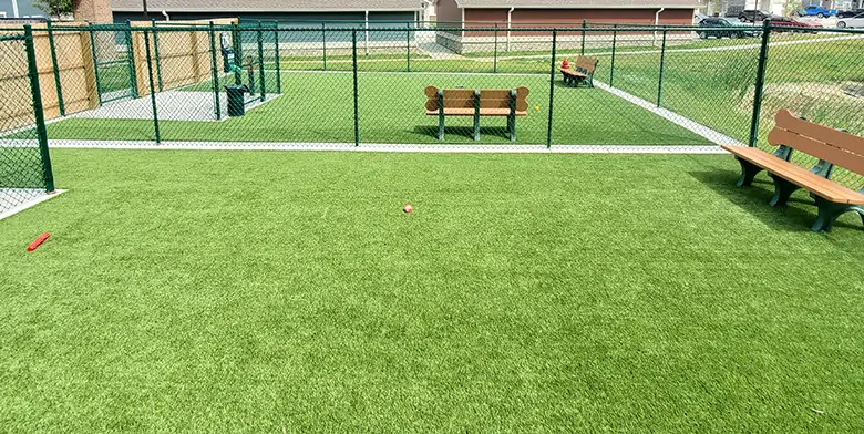 Eagle Eye artificial pet turf in Omaha, NE