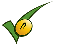 NSBB Badge
