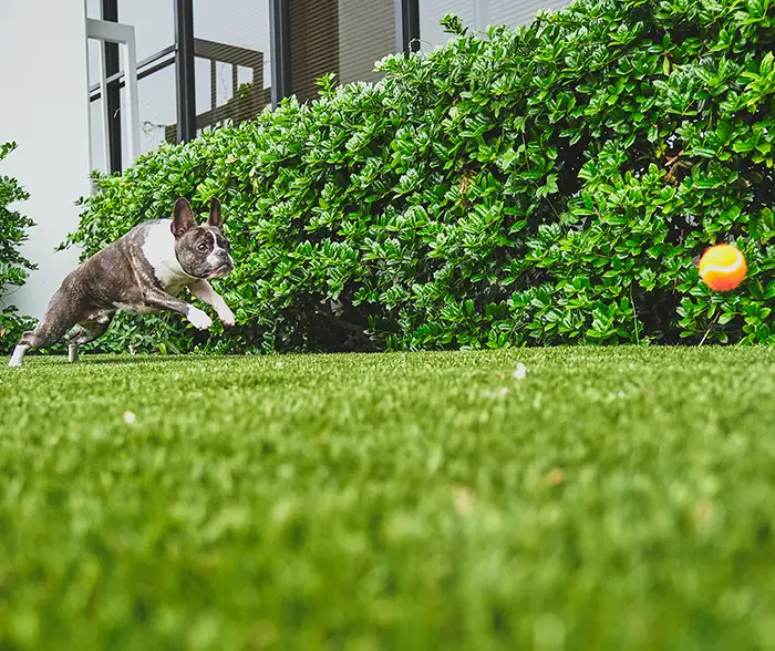 Artificial grass dog run installed by SYNLawn