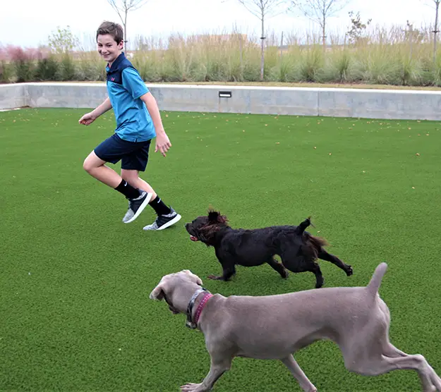 Artificial grass dog run installed by SYNLawn