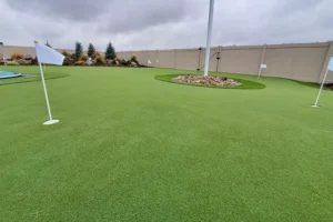 2024-best-residential-golf-design-gal-4