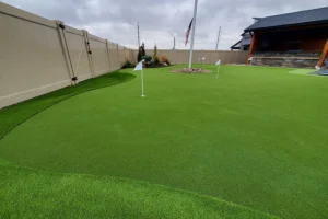 2024-best-residential-golf-design-gal-page-5