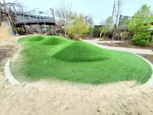 commercial-turf-gal-img-6