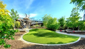 commercial-turf-gal-img-7